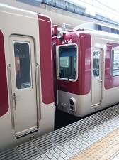 ߋE{S1233nQ